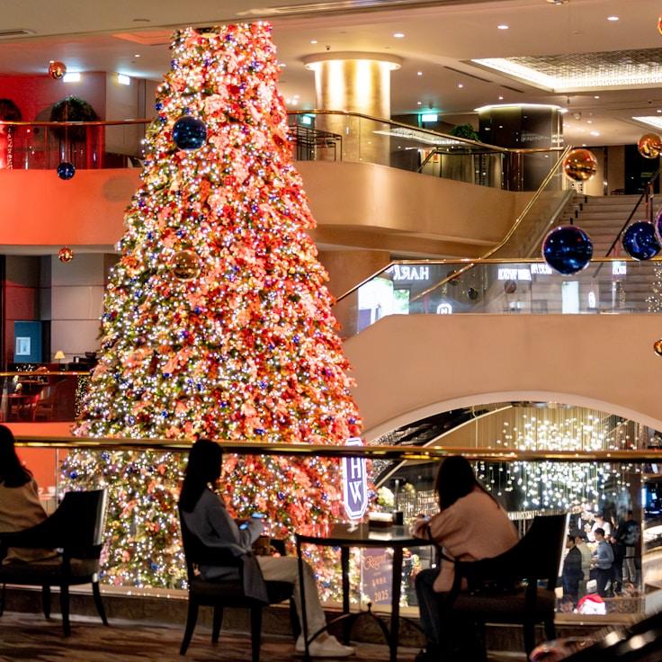 Dining out as an expat family in Portugal